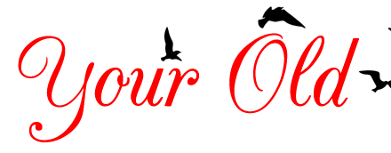 cropped-logo_notyouroldredbirda-3.png