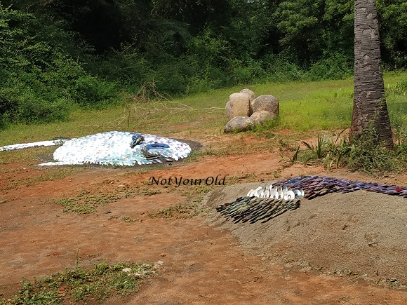 One day in Auroville