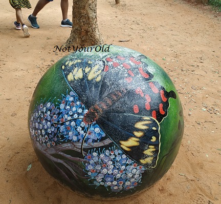 A day in Auroville