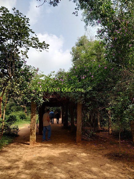 A Day In Auroville