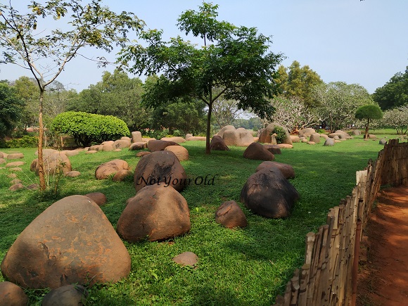 A day in Auroville